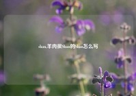 shan,羊肉很Shan的Shan怎么写