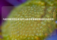 与老外聊天的安卓,有什么适合零基础学英语的手机软件?