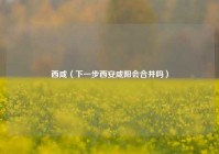 西咸（下一步西安咸阳会合并吗）
