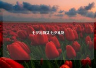 七夕礼物女,七夕礼物