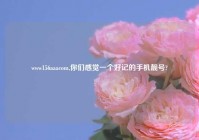 www156aaacom,你们感觉一个好记的手机靓号?
