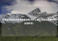 单身即地狱综艺免费观看全集,为什么有人说监狱里最看不起强奸犯?