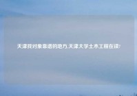 天津找对象靠谱的地方,天津大学土木工程在读?