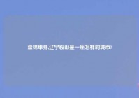 盘锦单身,辽宁鞍山是一座怎样的城市?