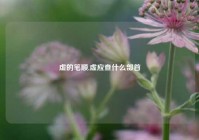 虚的笔顺,虚应查什么部首