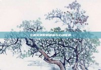 公园轮滑时的邂逅与心动奇遇