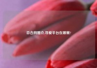 百合网婚介,寻爱平台在哪里?