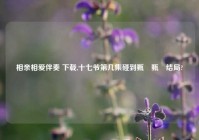 相亲相爱伴奏 下载,十七爷第几集碰到甄嬛甄嬛结局?