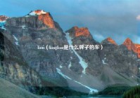 lion（kinglion是什么牌子的车）