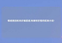 情感挽回机构诈骗套路,有哪些好看的耽美小说?