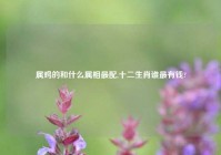 属鸡的和什么属相最配,十二生肖谁最有钱?