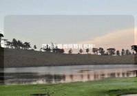 婚礼主题,传统婚礼名称?