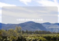 七楼摄影,请问江南三大名楼