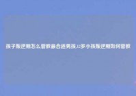 孩子叛逆期怎么管教最合适男孩,12岁小孩叛逆期如何管教