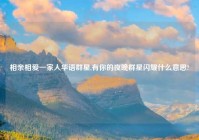 相亲相爱一家人华语群星,有你的夜晚群星闪耀什么意思?