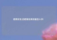 肥西交友,合肥现在房价能否入手?