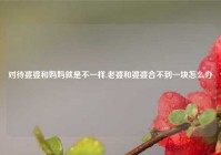 对待婆婆和妈妈就是不一样,老婆和婆婆合不到一块怎么办