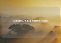 五莲婚介公司,山东有哪些地方戏曲?