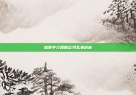 越南中介婚姻公司乱象剖析