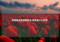和明星谈恋爱的软件,派派是什么软件?