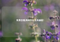 免费合婚,狗和什么生肖最配?