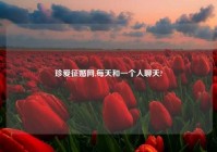 珍爱征婚网,每天和一个人聊天?