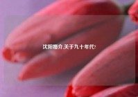 沈阳婚介,关于九十年代?