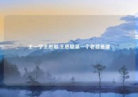 王一宁王思聪,王思聪第一个老婆是谁