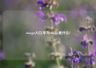 chatgpt入口,华为chatgpt是什么?
