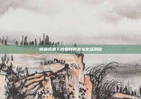 闲鱼视角下的别样男友与生活洞察