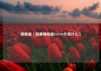 横断面（路基横断面TATAW代表什么）