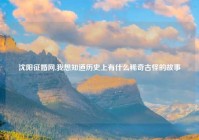 沈阳征婚网,我想知道历史上有什么稀奇古怪的故事