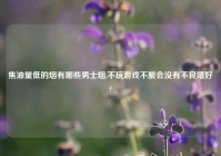 焦油量低的烟有哪些男士烟,不玩游戏不聚会没有不良嗜好?