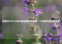 速配网,为什么我不能给速配网里面一个中意的会员留言呢