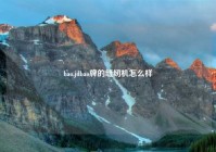 bao,jdbao牌的缝纫机怎么样