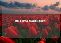 佛山单身交友团,2城市群有哪些?