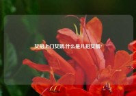 女招上门女婿,什么是儿招女婿?