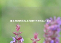 浦东新区民政局,上海浦东有哪些公共墓地