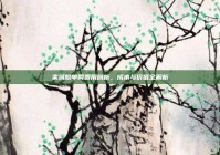 栾城脱单网费用剖析，成本与价值全解析