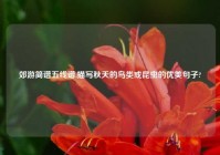 郊游简谱五线谱,描写秋天的鸟类或昆虫的优美句子?