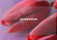 样的笔顺,象摆笔顺