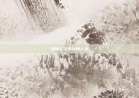 西藏公主的传奇人生