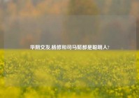 华阴交友,杨修和司马懿都是聪明人?