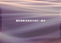 猜的笔顺,投笔来从戎打一数字