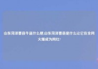 山东菏泽曹县牛逼什么梗,山东菏泽曹县是什么让它在全网火爆成为网红?