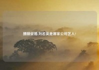 醴陵征婚,刘若英是哪家公司艺人?