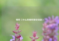 细纹（什么的细纹填空词语）