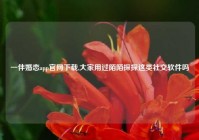 一伴婚恋app官网下载,大家用过陌陌探探这类社交软件吗
