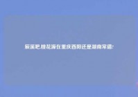 辰溪吧,桃花源在重庆酉阳还是湖南常德?