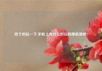 找个的玩一下,手机上有什么好玩的单机游戏?